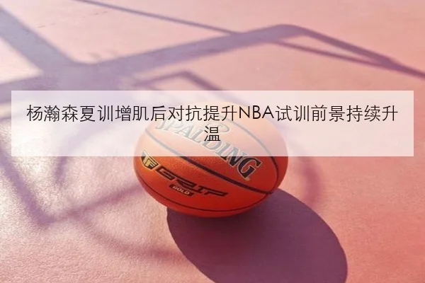 杨瀚森夏训增肌后对抗提升NBA试训前景持续升温